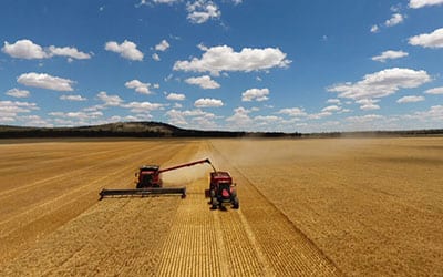 What is Controlled Traffic Farming? Read on to find out more. What is Controlled Traffic Farming? Read on to find out more.