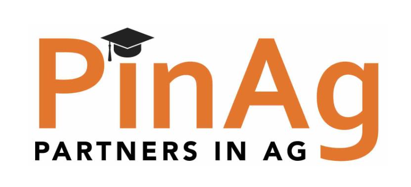 Logo options