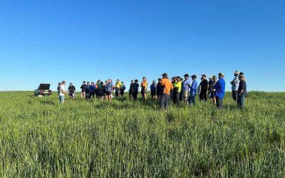 SA GRDC study tour – Increasing the longevity of soil amelioration benefits with CTF and no-till in South Australia by sharing experience grower to grower