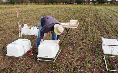 CTF Effects on Sustainability and Productivity