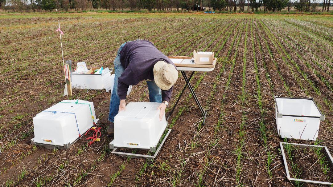 CTF Effects on Sustainability and Productivity